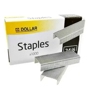 Dollar Staples Pins Box